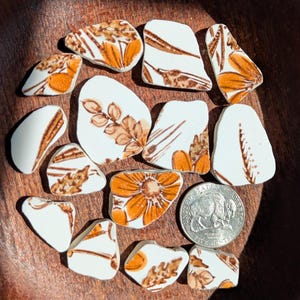 以下が含まれることがあります： 木製のボウルに配置された、オレンジと茶色の花柄模様の白い陶器の破片のコレクション。 破片はサイズと形状が異なり、完全な花の模様を持つものもあれば、葉のモチーフを示すものもあります。 サイズの目安としてコインが含まれています。