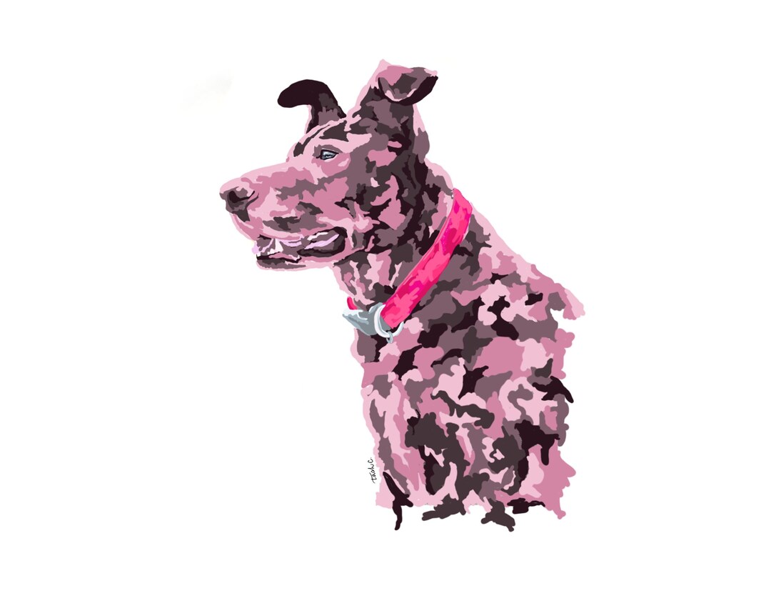 Digital Abstract Custom Pet Portrait / Digital Download Etsy