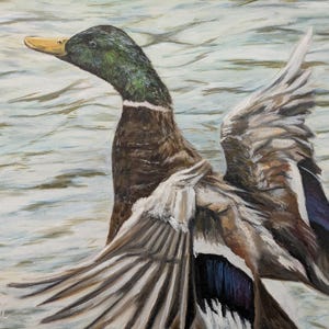 May include: An oil painting of a mallard duck with outstretched wings, showcasing a detailed depiction of its feathers in shades of brown, white, and blue. The duck's head features green and black hues, with a yellow beak. The background suggests water.