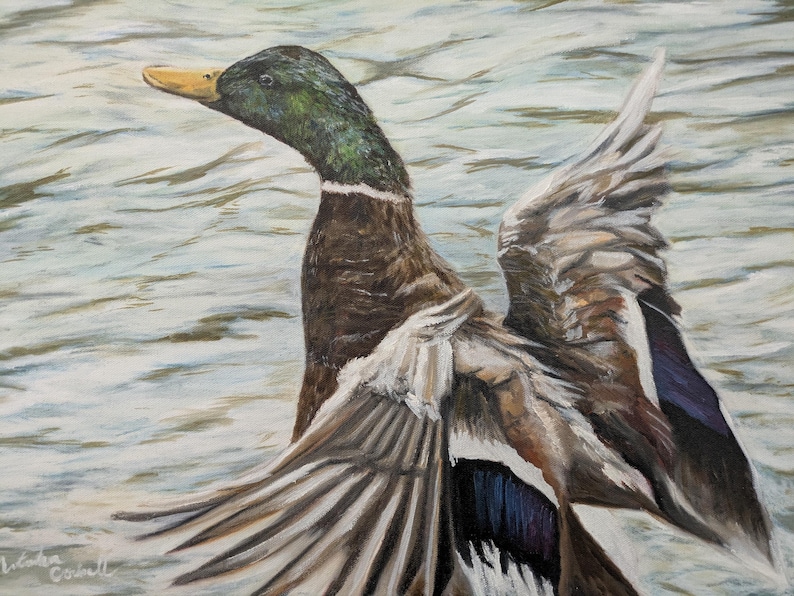 May include: An oil painting of a mallard duck with outstretched wings, showcasing a detailed depiction of its feathers in shades of brown, white, and blue. The duck's head features green and black hues, with a yellow beak. The background suggests water.
