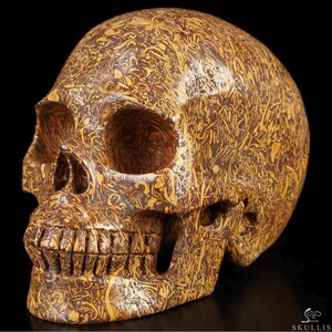 5.0” Elephant Skin Jasper Skull Carving