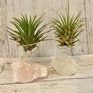 Small Raw Crystal Gemstone Air Plant Holder | Rose Quartz | Clear Quartz | Boho Decor |  Plant Lover Gifts | Live Plants