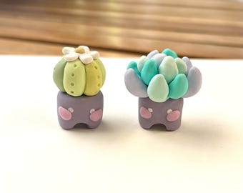 Mini Topfpflanze Duo
