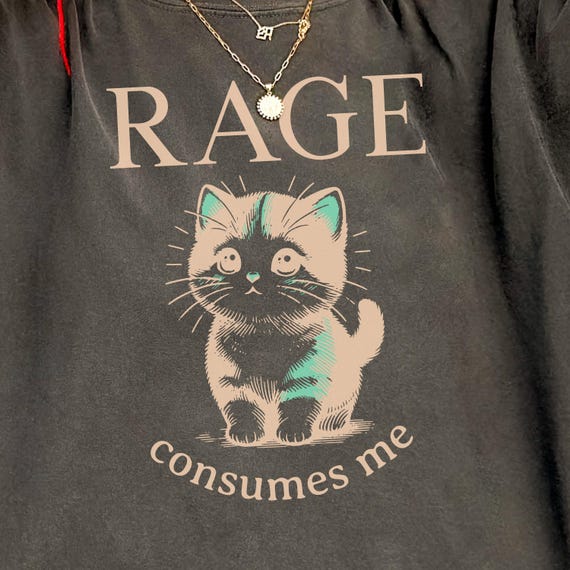 Rage Consumes Me Shirt, Funny Unhinged Cat Tee, Comfort Colors