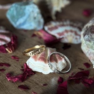 May include: A gold ring and a silver ring with a repeating cutout design rest on a seashell. The rings are displayed on a wooden surface, surrounded by seashells and dried rose petals. The gold ring has a warm, shiny finish.
