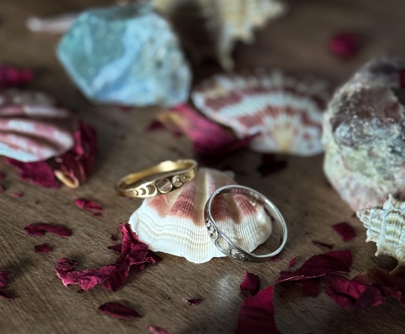 May include: A gold ring and a silver ring with a repeating cutout design rest on a seashell. The rings are displayed on a wooden surface, surrounded by seashells and dried rose petals. The gold ring has a warm, shiny finish.
