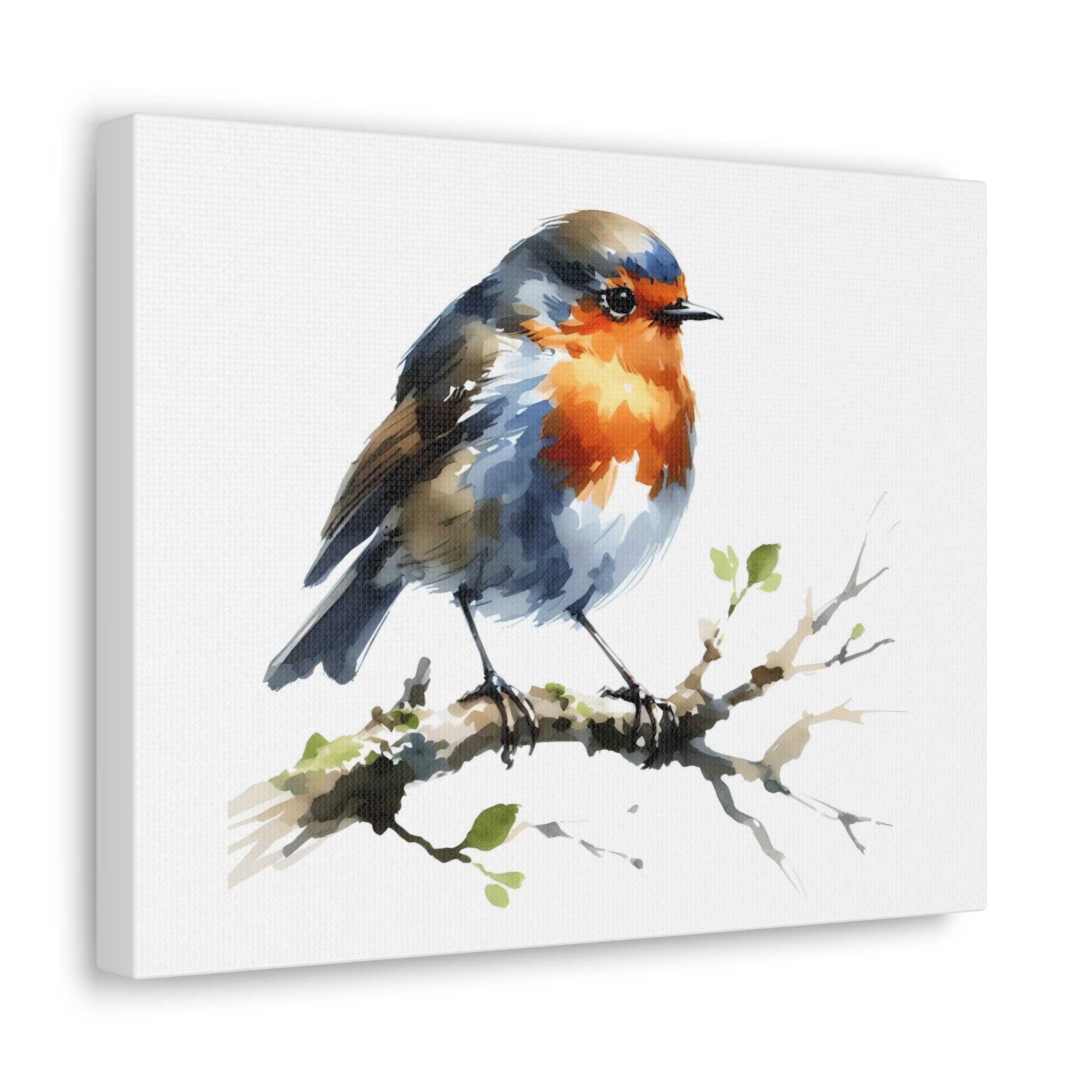 Robin Bird Watercolor Painting and Print - Etsy