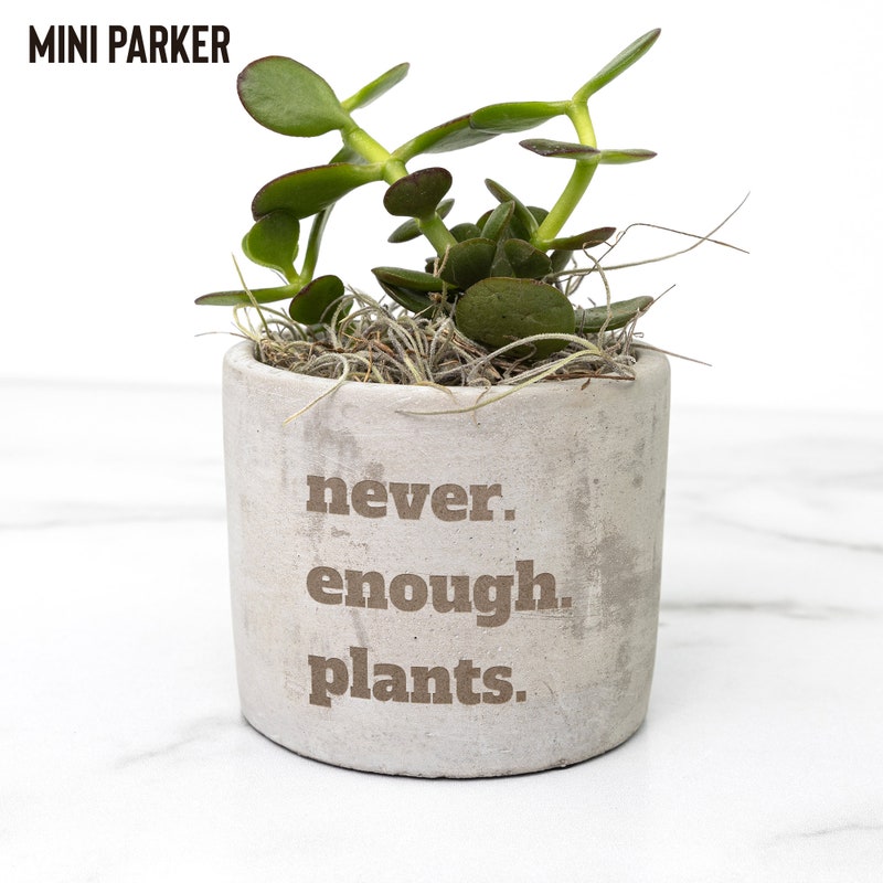 Desk Plant - Etsy