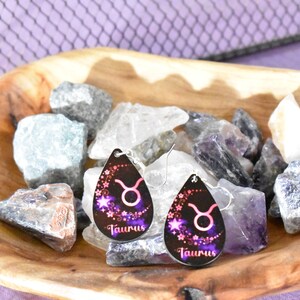 Zodiac Earrings