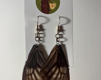 Asian Swallowtail Butterfly Wing Earrings