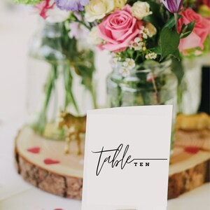 Minimalist Table Number Set