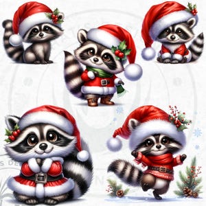 53 Cute Raccoon PNG Clipart Set, Christmas Raccoon clipart, Baby animal with Santa Hat Png, Christmas Clipart, Christmas cards & sublimation