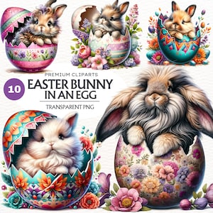 Easter Bunny in egg clipart bundle, Rabbit clipart, Spring PNG, Easter Eggs png graphics, printable Easter sublimation. Happy Easter PNG.
