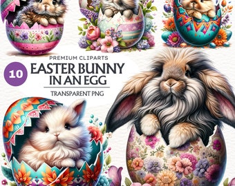 Easter Bunny Egg Clipart Bundle: Spring PNG Graphics (Digital Download)