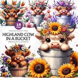 Floral Baby Highland Kuh Clipart, Süßes Hochlandkalb PNG im Eimer, Aquarell Highland Kalb für Sublimation, Frühlings Clipart Grafiken