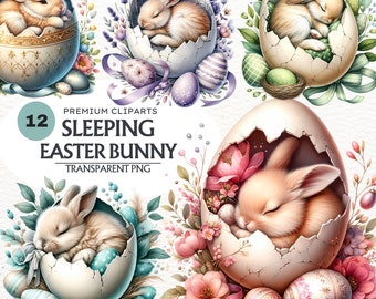 May include: Twelve digital illustrations of sleeping Easter bunnies in eggs decorated with flowers, ribbons, and pastel colored eggs.  The text "12 Premium Clipart Sleeping Easter Bunny Transparent PNG" is at the top of the image.