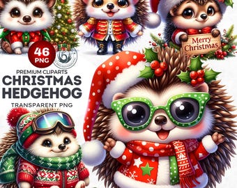 Christmas Hedgehog Clipart Set: Winter Animals with Santa Hats (PNG Digital Download)