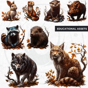 60 Woodland animals Clipart Set, Cute and Realistic Forest Wildlife, Fall Clipart, Autumn animal PNG, baby animals PNG, Fall sublimation