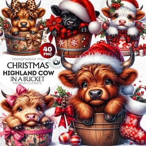 40 Christmas Highland Cows in bucket clipart Set, christmas clipart PNG,Funny highland cow clipart, christmas cards, crafts and sublimation