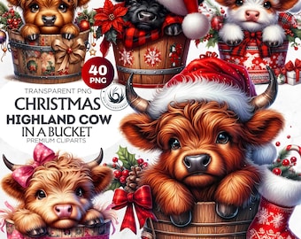 40 Christmas Highland Cows in bucket clipart Set, christmas clipart PNG,Funny highland cow clipart, christmas cards, crafts and sublimation