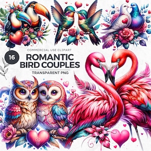 Vibrant Romantic Bird couples Valentine Clipart, Valentines day Lovebirds, Valentine PNG sublimation, nursery decor, transparent background