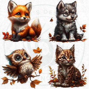 60 Woodland animals Clipart Set, Cute and Realistic Forest Wildlife, Fall Clipart, Autumn animal PNG, baby animals PNG, Fall sublimation