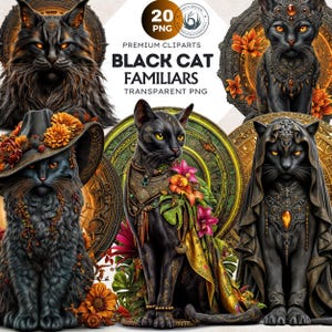 Black Cat Familiar Clipart PNG, Witch Cat, Mystical Animal, Gothic Magic for Sublimation, Halloween Decor, Magical Esoteric Wizard Black Cat