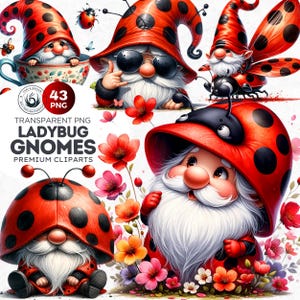 Pacchetto clipart di gnomi coccinella, 43 parti cli di gnomi, grafica png di gnomi primaverili, sublimazione di primavera, sfondo trasparente, uso commerciale