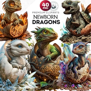 Newborn Dragons Clipart Set, Fantasy dragon egg PNG, Fantasy Clipart, dragon sublimation, Role play game, Baby dragon illustration