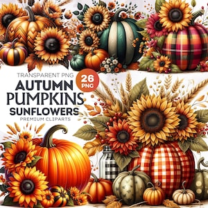 26 herfstpompoen met zonnebloem clipartset, herfst clipart, herfstoogst, herfstseizoen, zonnebloem png, Thanksgiving, pompoensublimatie
