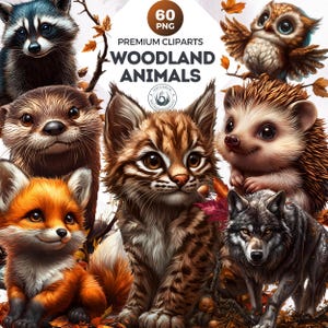 Könnte beinhalten: Eine Sammlung von 60 Illustrationen von Waldtieren, darunter ein Waschbär, ein Otter, ein Fuchs, ein Luchs, ein Igel, eine Eule und ein Wolf. Die Tiere sind im Cartoon-Stil mit großen Augen und weichem Fell dargestellt. Die Illustrationen sind perfekt für den Einsatz in digitalem Scrapbooking, Kartenherstellung und anderen kreativen Projekten.