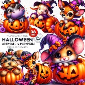 38 Halloween Tiere in Kürbis Clipart Set, süße Halloween Cliparts, Halloween png, Kinder Halloween, Baby Tier Clipart, Sublimationsdesign