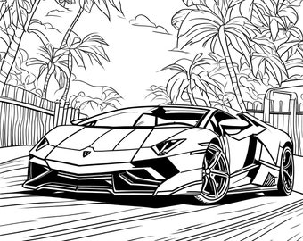 Super Cars Coloring Lamborghini  Ferrari Bugatti Porsche 20 Pages