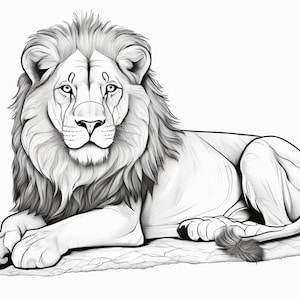 Può includere: Un disegno in bianco e nero di un leone sdraiato con la testa alzata. Il leone ha una criniera folta e una lunga coda.