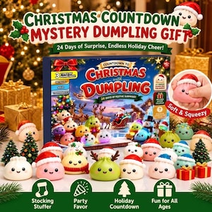 Dumpling Advent Calendar 2026, 24 Day Christmas Countdown, Kawaii Squishy Toys, Holiday Gift