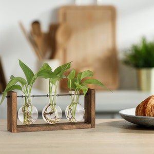 Geschenk für sie, Geschenk für sie, Geschenk für Pflanzenliebhaber, Blumentopf aus Holz, Glasvase, Boho Vase, minimalistisch, Vermehrung