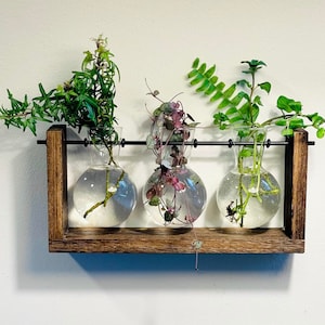 Vermehrung Pflanzenglas Stand Station Terrarium Kit Hydrokultur Moderne Holzpflanzenliebhaber Wandhänger Geschenk für sie Pflanzengeschenk Boho