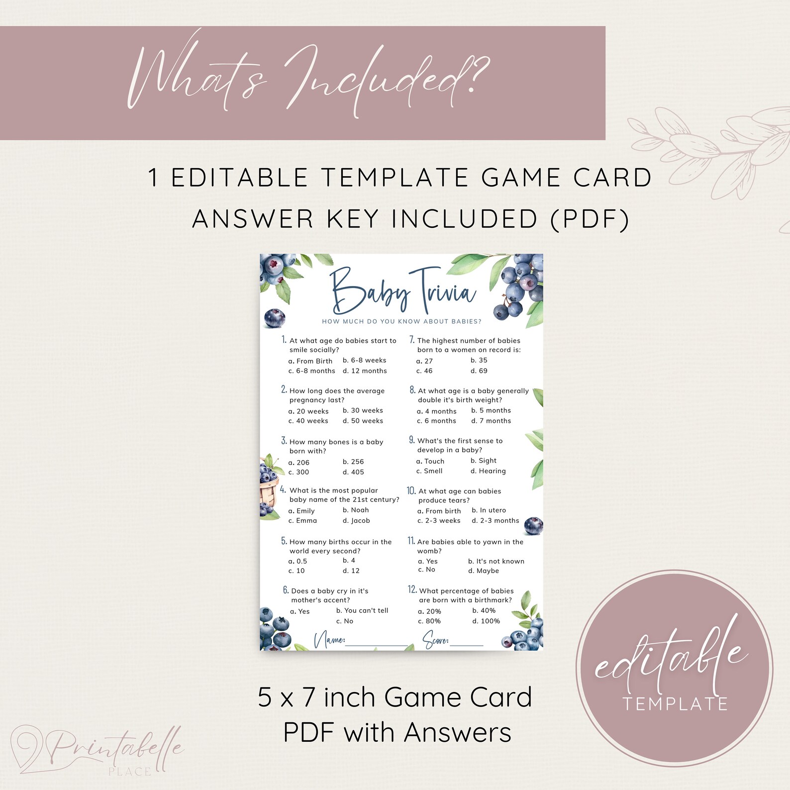 Blueberry Baby Trivia With Answer Key, Berry Sweet Baby Shower Game ...