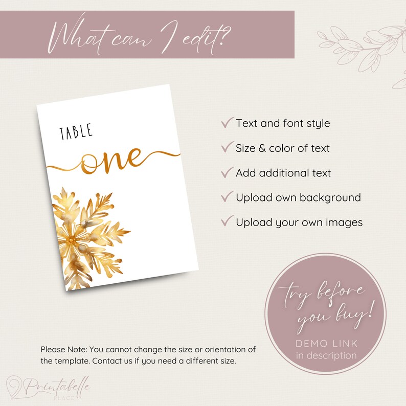 Image outlines what on the template is editable. You can edit: text and font style; the size and color of text; add additional text boxes; change background; upload your own images. Try the demo link before you buy. Link in description.