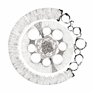 Zentangle black and white drawing painting detailed fine art