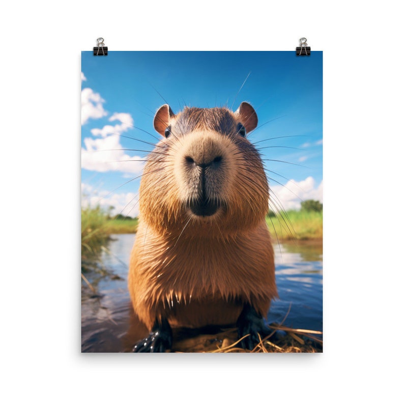 Capybara Poster S XXL High Quality - Etsy