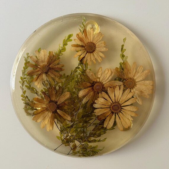 1960年代のアメリカ製ヴィンテージのルーサイト製フラワーウォール