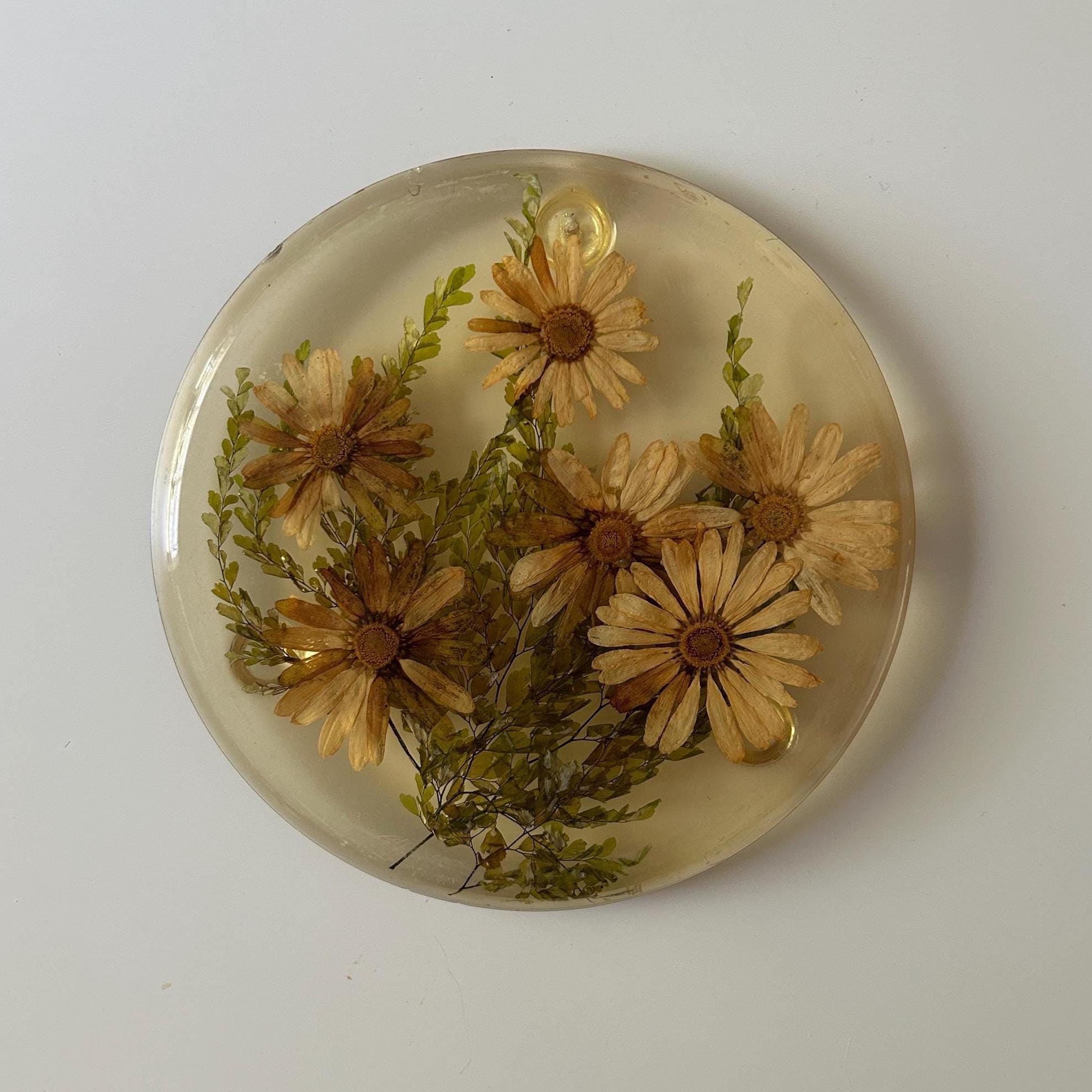 ヨーロッパ　アンティーク　押し花 ヴィンテージ 1960年代 イエローフローラル ルーサイト