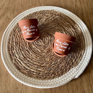 Flower pot - original gift - guest gift