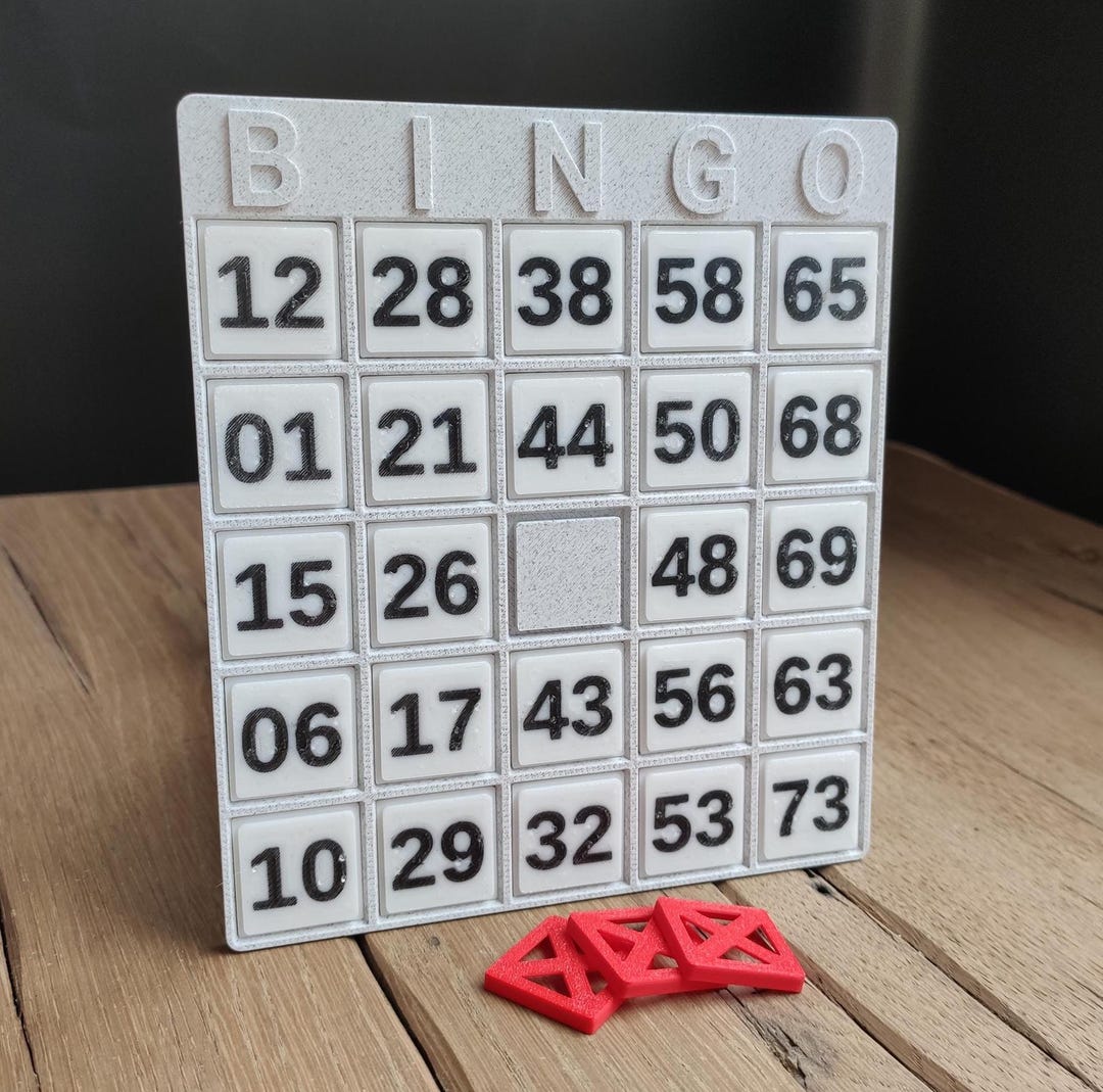 Braille Bingo Card 5x5 3D Printed Tactile Modular Design Enhanced ...
