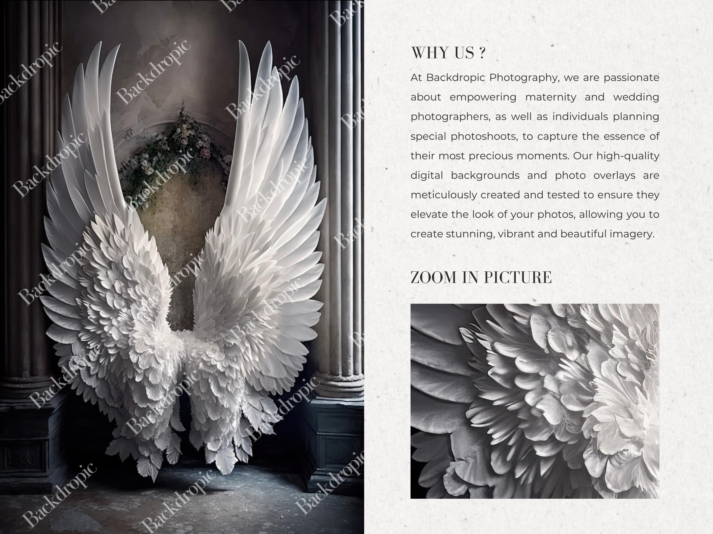 Digital Backdrops Angel Wings Digital Overlays Maternity Digital ...