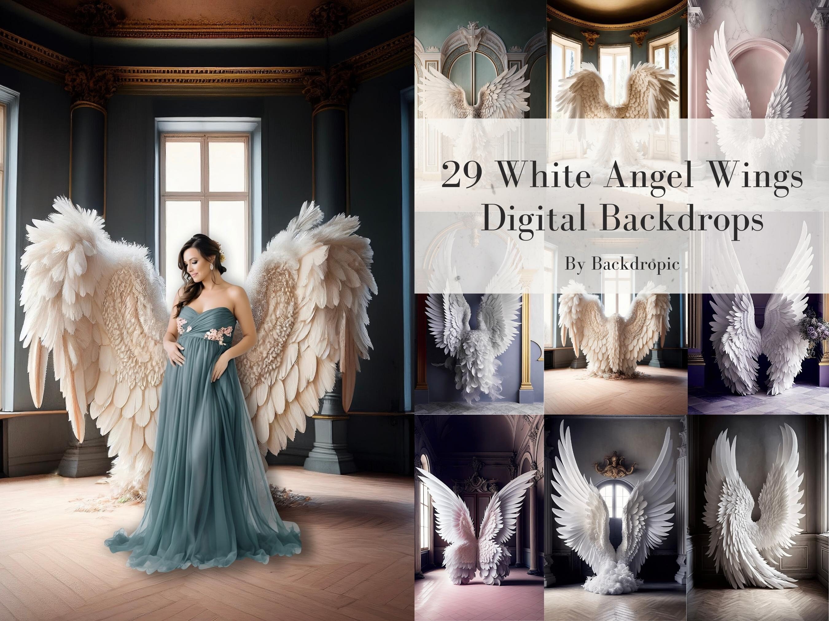 Digital Backdrops Angel Wings Digital Overlays Maternity Digital ...