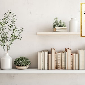 Minimalist White Shelving Zoom Background: Home Office Backdrop (Digital Download) image 4