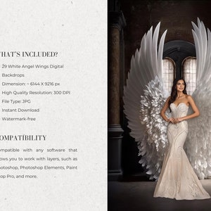 Digital Backdrops Angel Wings Digital Overlays Maternity Digital ...