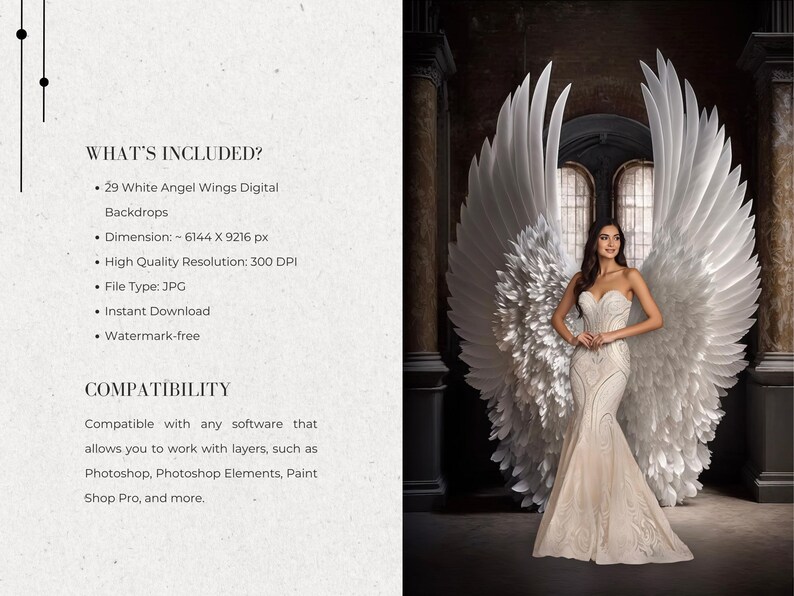 Digital Backdrops Angel Wings Digital Overlays Maternity Digital ...